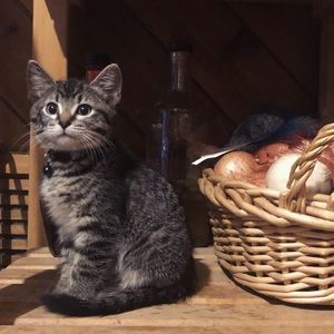 Meet your Posher, Gerri